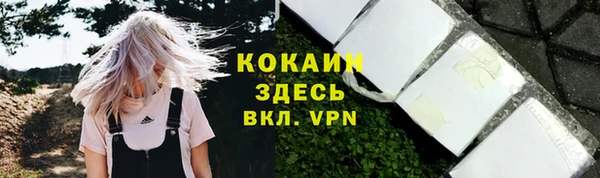 Альфа ПВП Верея