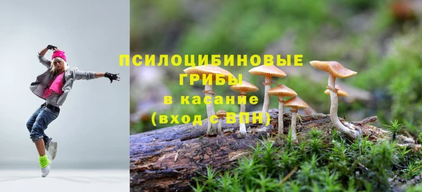 ешки Сосновоборск